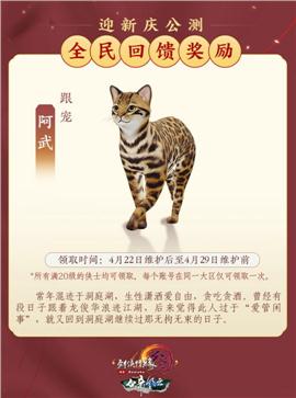 沙巴克天龙八部私服